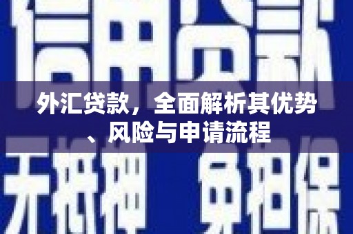 滨江外汇贷款，全面解析其优势、风险与申请流程