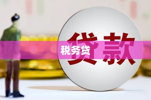 滨江税务贷