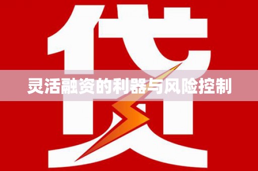 滨江灵活融资的利器与风险控制
