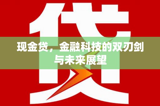 滨江现金贷，金融科技的双刃剑与未来展望