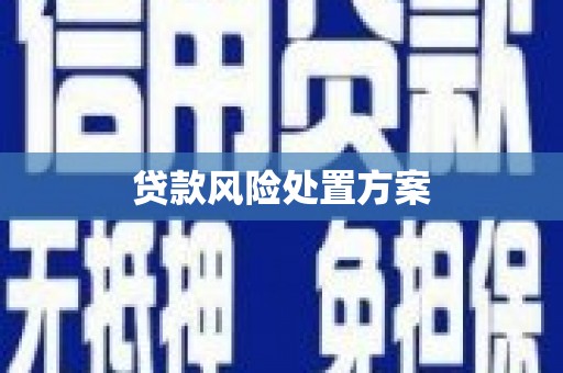 滨江贷款风险处置方案