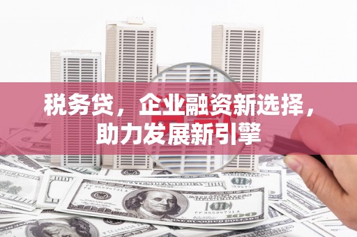 滨江税务贷，企业融资新选择，助力发展新引擎