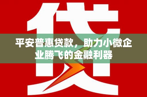 滨江平安普惠贷款，助力小微企业腾飞的金融利器