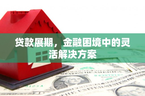 滨江贷款展期，金融困境中的灵活解决方案