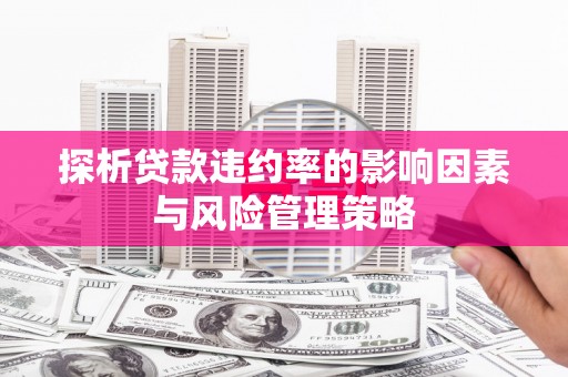 滨江探析贷款违约率的影响因素与风险管理策略