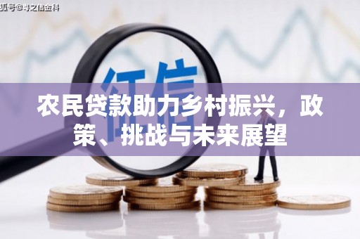 滨江农民贷款助力乡村振兴，政策、挑战与未来展望