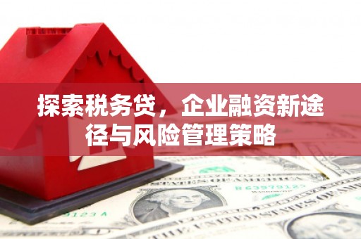 滨江探索税务贷，企业融资新途径与风险管理策略