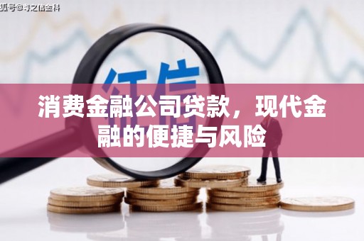 滨江消费金融公司贷款，现代金融的便捷与风险