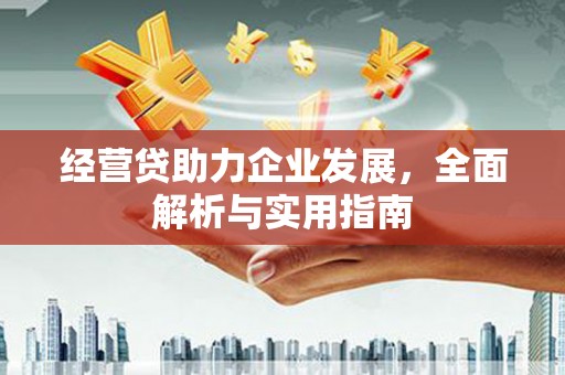 滨江经营贷助力企业发展，全面解析与实用指南