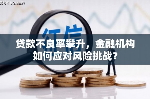 滨江贷款不良率攀升，金融机构如何应对风险挑战？
