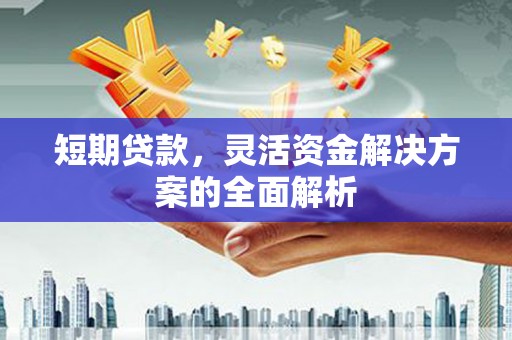滨江短期贷款，灵活资金解决方案的全面解析
