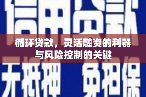 滨江循环贷款，灵活融资的利器与风险控制的关键