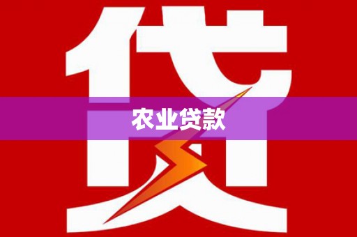 滨江农业贷款