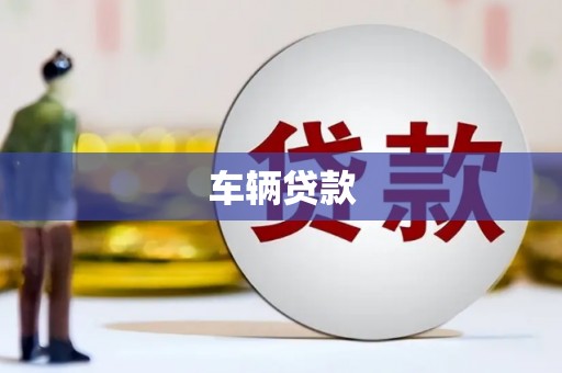 滨江车辆贷款
