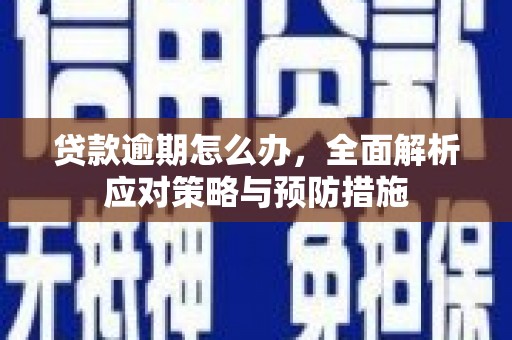 滨江贷款逾期怎么办，全面解析应对策略与预防措施