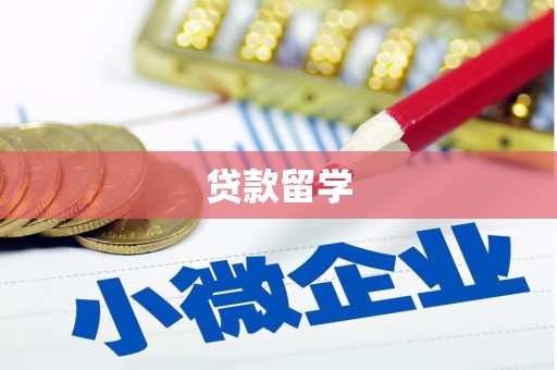 滨江贷款留学