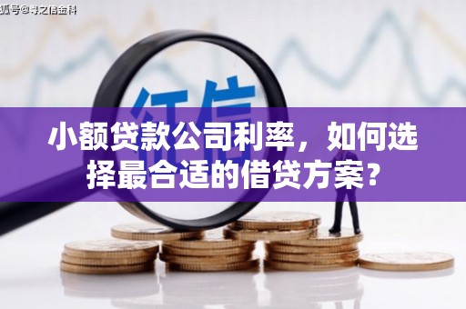 滨江小额贷款公司利率，如何选择最合适的借贷方案？
