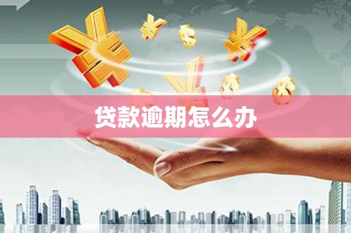 滨江贷款逾期怎么办