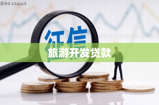 滨江旅游开发贷款