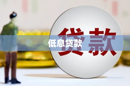 滨江低息贷款
