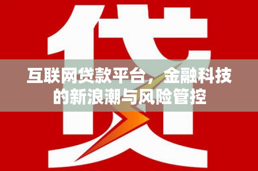 滨江互联网贷款平台，金融科技的新浪潮与风险管控