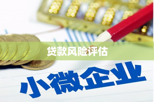滨江贷款风险评估