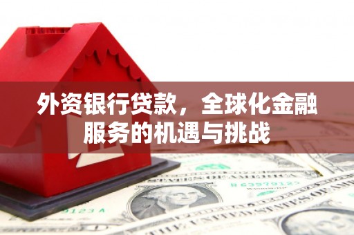 滨江外资银行贷款，全球化金融服务的机遇与挑战