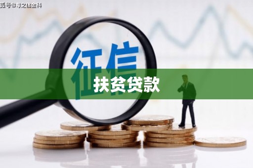 滨江扶贫贷款